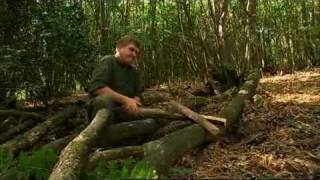 Ray Mears  How to split wood with a saw Bushcraft Survival [upl. by Harriman]