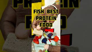 best protein food for fish 🐟  90s Nayagan  fish aquarium shorts shortvideo trending [upl. by Duma739]