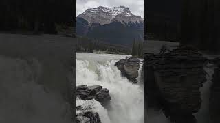 Athabasca Falls  29Jun24 [upl. by Naie]