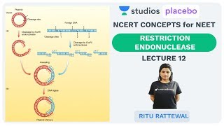 L12 Restriction Endonuclease  NCERT Concepts in NEET 2019  Premedical  NEETAIIMS [upl. by Mattox]