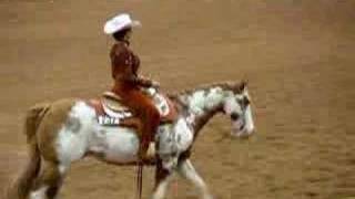 Horsemanship Pattern at Stock Show 2008 [upl. by Nylsirhc]