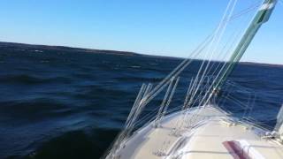 Catalina 30 Sailing in SC [upl. by Saudra]