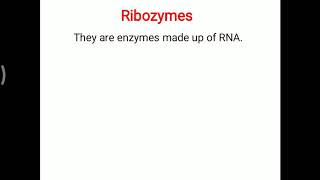 Ribozymes [upl. by Annasor459]