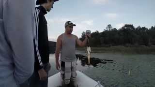 Lac Gauvreau  Achigan grande bouche  Largemouth bass  Top water  DafishaXuan Pêche  Fishing [upl. by Einnal]