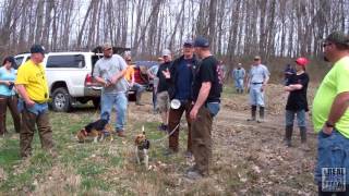 2014 UKC Hunting Beagle Nationals  United Kennel Club [upl. by Adest]