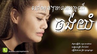 នៅសុខៗមានអារម្មណ៍ចង់យំ  Aok Sokunkanha Lyric Audio [upl. by Hedva76]