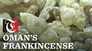 Omans Frankincense [upl. by Yeniffit826]