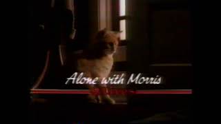 1985 9Lives Cat Food quotAlone with Morrisquot TV Commercial [upl. by Stacie217]