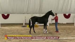 KN 31 v Fürst Romancier  Sir Donnerhall [upl. by Connelley]