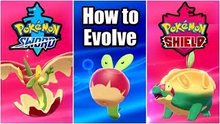 POKEMON SWORD AND SHIELD  How to Evolve Applin Evolving Applin to Appletun amp Flapple [upl. by Ricky]