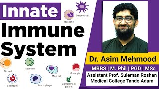 Immunology  Immune System Innate Immune System Made Easy  Hindi  Urdu [upl. by Atilamrac]