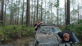 Stuck Stuck in Osceola Forest [upl. by Robillard]