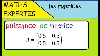 Terminale Maths Expertes Les matrices  exercice  puissance dune matrice [upl. by Aseefan]