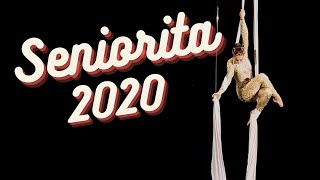 Taniec na szarfie AERIAL SILKS I MP2020 [upl. by Iviv]