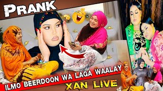 PRANK XAN LIVE  ALINA amp ROWDA ILMO BEERDOON CAAY TOOS 😂 KA WAAL DADKA CAANKA AH  TAXANE PART 11 [upl. by Magnus28]