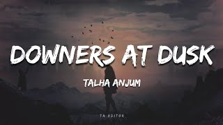 Talha Anjum  Downers At Dusk Lyrics  Prod by UMAIR  TA Editor [upl. by Akinit]