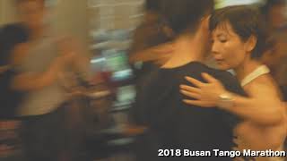 Busan Tango Marathon 2018 [upl. by Yelyah]