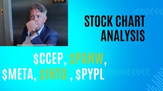 Stock Chart Analysis TrendSpider Tips for CCEP PANW META INTU PYPL  Learn How To Profit [upl. by Friedland]