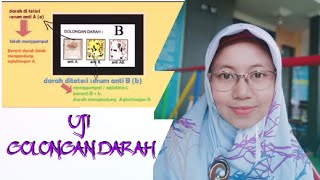 Uji Golongan Darah [upl. by Oicirbaf]