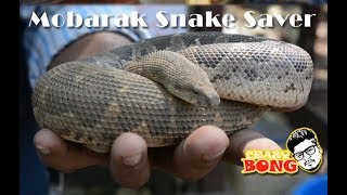 Snake Park Panchet Dam  Mobarak Snake Saver  Indian Snake Charmer  Panchet Dam Tour Guide [upl. by Meridith]