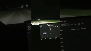 060MPH TESLA MODEL 3 PERFOMANCE 🤯 [upl. by Siri539]