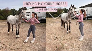 MOVING MY YOUNG HORSE TO HIS NEW YARD stable tour rehab update and more [upl. by Georg]