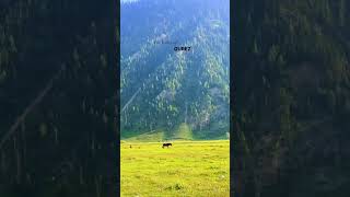 This Hidden Gem in Kashmir is Like None Other😍  shorts youtubeshorts kashmir viral [upl. by O'Gowan]