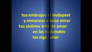 Amor en Budapest  Karaoke [upl. by Klute198]