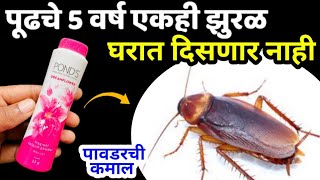 झुरळ शोधून सापडणार नाही फक्त हा उपाय करा😱kitchen tips  tadka  takau pasun tikau  cockroach killer [upl. by Noinatrad]