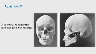 Forensic Mock OSPE  02 [upl. by Annayd543]