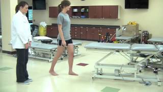 Muscle Length for Gastrocnemius Soleus and Psoas Major [upl. by Ahsienot]