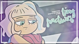 ❝Tιɴy Frαcтυreѕ❞ 16k  mv  Star vs The Forces of Evil [upl. by Phira986]