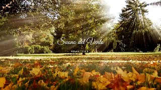 Suono del Vento  RELAX ASMR ❤💨🌎  Rumore del vento per meditare e dormire Ep1 [upl. by Amar]