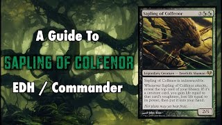 MTG  Treefolk Tribal  A Guide To EDH  Commander Sapling of Colfenor for Magic The Gathering [upl. by Ambrosius]