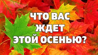 ЧТО ВАС ЖДЕТ ЭТОЙ ОСЕНЬЮ Таро прогноз гороскоп на Сентябрь Октябрь Ноябрь онлайн гадание Таро [upl. by Slade281]