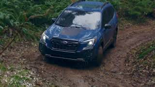 2022 Subaru Forester Tow Capacity  Subaru El Paso [upl. by Akemyt]