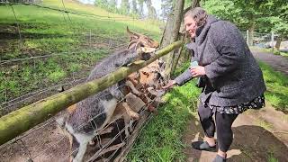 Dierenpark Frankenberg juli 2024 [upl. by Nnylimaj]