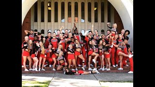 Navarro Cheer 20172020 [upl. by Nosde404]