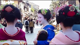 A Stroll Through Geisha District Hanamikoji amp Pontocho in Gion Kyoto  京都祇園、花見小路と先斗町の外国人と舞妓さん！海外の反応 [upl. by Arraeic]