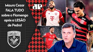 O Flamengo vai CONTRATAR um CENTROAVANTE O que Mauro Cezar FARIA VEJA ANÁLISE após LESÃO de Pedro [upl. by Ayna278]