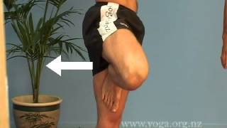 Beginners Online Yoga Class  Classes of 20 Yoga postures [upl. by Zolner]