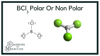 Is BCl3 Polar or Nonpolar Boron Trichloride [upl. by Dinny]