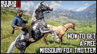 MISSOURI FOX TROTTER  Red Dead Redemption 2 Story Mode [upl. by Meerak642]