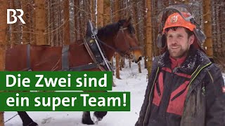 Teamwork Ackern und Holzrücken mit Pferd statt mit Maschinen  Alpe  Unser Land  BR [upl. by Amaj]