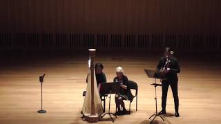 Telemann Bassoon Sonata F minor Roman Reznik Delphine Constantin [upl. by Atinav]