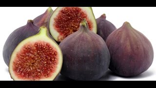 HOW TO GROW FIGS IN A CONTAINER OR POT [upl. by Bradstreet]