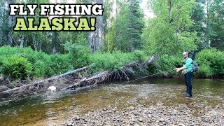 Fly Fishing a TINY Creek in ALASKA for BEAUTIFUL Wild Trout [upl. by Ahsikyw]