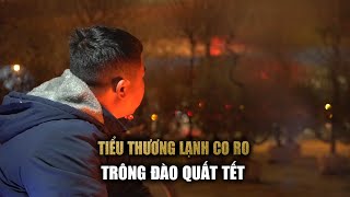 Tiểu thương co ro trên vỉa hè Hà Nội thức xuyên đêm canh đào quất tết [upl. by Aan]