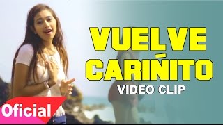 DELEITES ANDINOS  VUELVE CARIÑITO  Vídeo Oficial [upl. by Ahsilrac199]