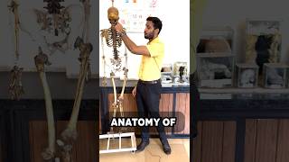 Anatomy of Spine simplified  Part1 [upl. by Adnor655]